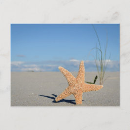 Seestern am Strand Briefkaart