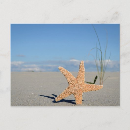 Seestern am Strand Briefkaart (Voorkant)