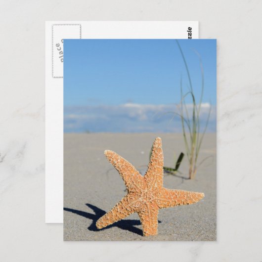 Seestern am Strand Briefkaart (Voorkant / Achterkant)