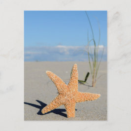 Seestern am Strand Briefkaart