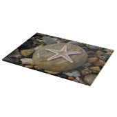 Seestern auf Stein am Strand Snijplank (Hoek)