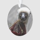 Sefaka Lemur Wildlife Animal Foto Ornament (voorkant)