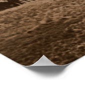 Segesta Poster (Hoek)