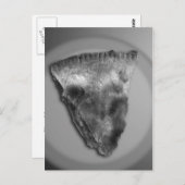 Segment Apple Pie Briefkaart (Voorkant / Achterkant)