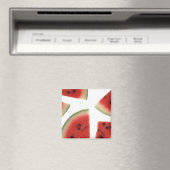 Segmenten van Watermeloen Magneet (Insitu (Vaatwasser))