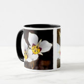 Sego Lily Mok (Voorkant links)