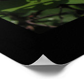 Sego Lily Print (Hoek)