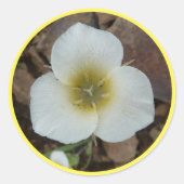 Sego Lily Ronde Sticker (Voorkant)