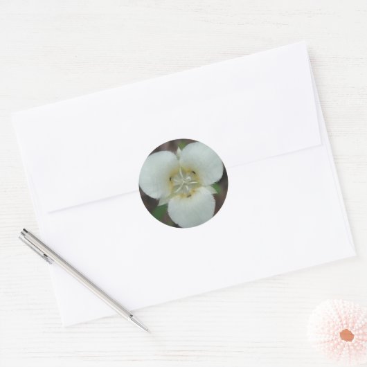 Sego Lily stickers (Envelop)
