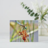 Segragras en Dragonfly Briefkaart (Staand voorkant)