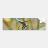 Segragras en Dragonfly Bumpersticker (Voorkant)