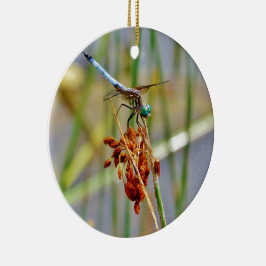 Segragras en Dragonfly Keramisch Ornament (Rechts)