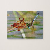 Segragras en Dragonfly Legpuzzel (Horizontaal)