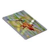 Segragras en Dragonfly Notitieboek (Rechterzijde)