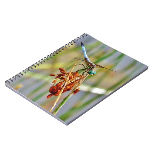 Segragras en Dragonfly Notitieboek (Linkerzijde)