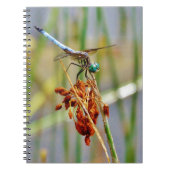 Segragras en Dragonfly Notitieboek (Voorkant)