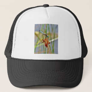 Segragras en Dragonfly Trucker Pet