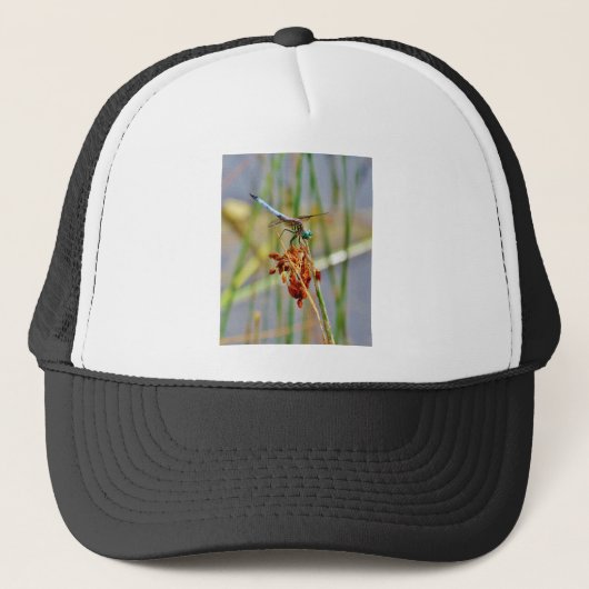 Segragras en Dragonfly Trucker Pet (Voorkant)