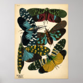 Seguy Art Noveau  Lanternfly Poster (Voorkant)