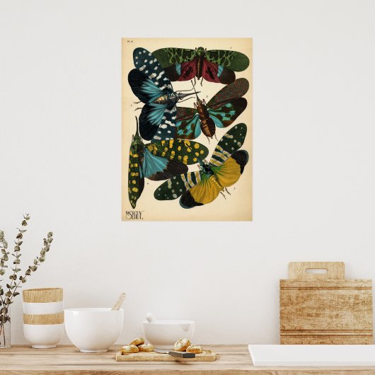 Seguy Art Noveau  Lanternfly Poster (Keuken)
