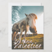 Sei mein Valentin mit schauenden Pferd V2.0 (Voorkant)