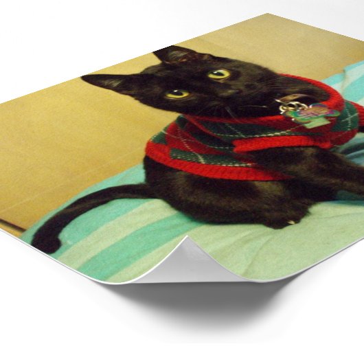 Seimei Poster afdrukken (Hoek)