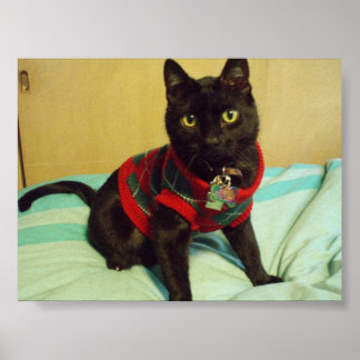 Seimei Poster afdrukken