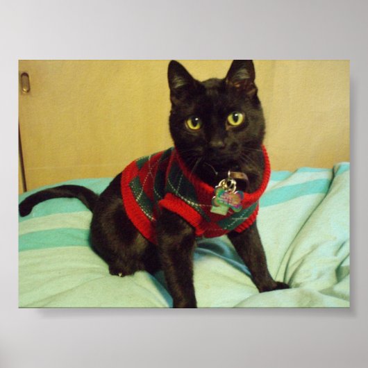 Seimei Poster afdrukken (Voorkant)