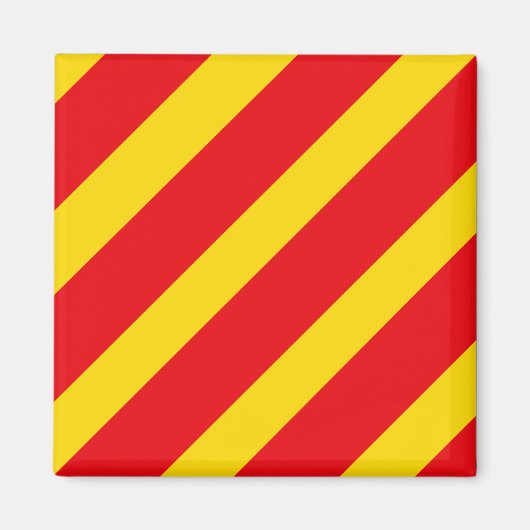 Sein Vlag Letter Y Magneet (Voorkant)