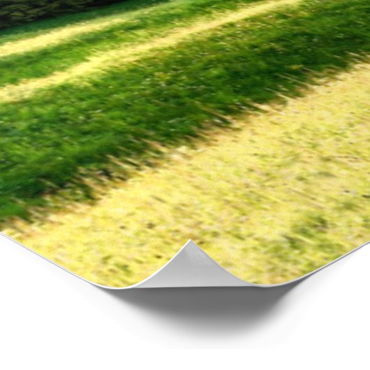 Seiser Alm | Dolomiet Alpen, Italië Poster (Hoek)