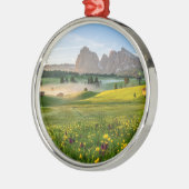 Seiser Alm, Dolomite Alps, Italië Metalen Ornament (Links)