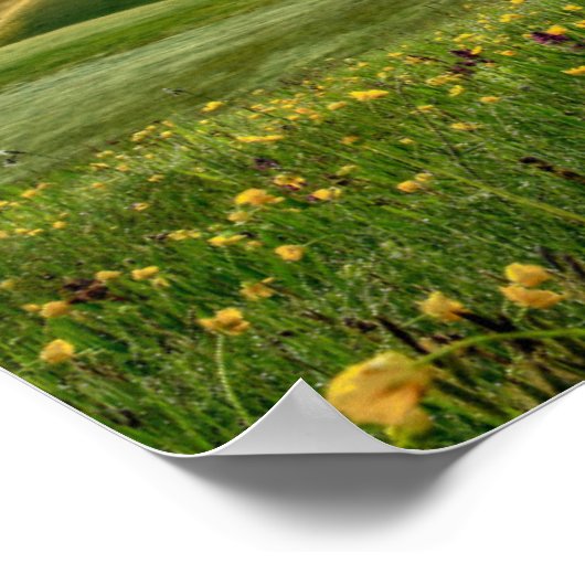 Seiser Alm, Dolomite Alps, Italië Poster (Hoek)