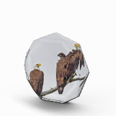 Seizoen 12 E23 en familie fotoblok (Rechts)