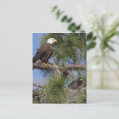 Seizoen 6 E10-, E11- en Harriet Post-kaart Briefkaart (Staand voorkant)