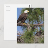 Seizoen 6 E10-, E11- en Harriet Post-kaart Briefkaart (Voorkant / Achterkant)