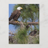 Seizoen 6 E10-, E11- en Harriet Post-kaart Briefkaart (Voorkant)