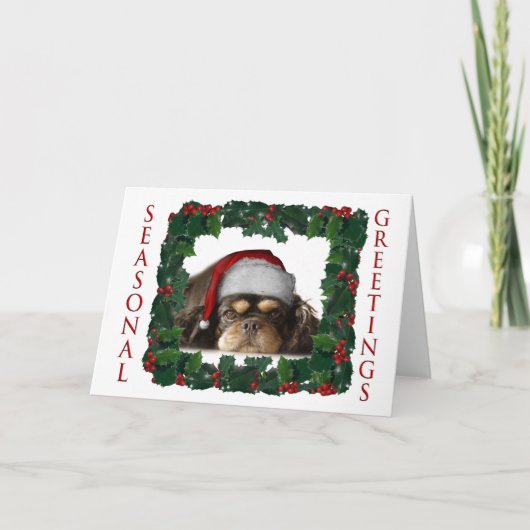 SEIZOEN GROETEN FEESTDAGEN KAART (Voorkant)