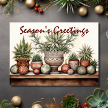 Seizoen Groeten Potted Succulenten Kerstmis