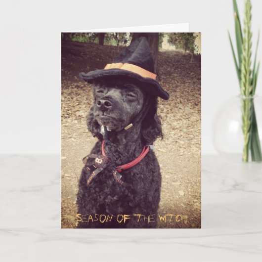 Seizoen van de Heks Kaart (Voorkant)
