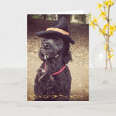 Seizoen van de Heks Kaart (Gele Bloem)