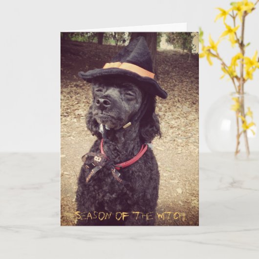 Seizoen van de Heks Kaart (Gele Bloem)