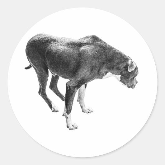 Seizoen van loyaliteit ronde sticker (Voorkant)