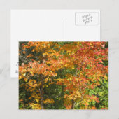 Seizoen van verandering briefkaart (Voorkant / Achterkant)