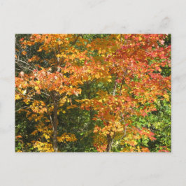 Seizoen van verandering briefkaart