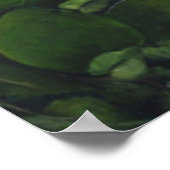 Seizoenadvocaat 2011 poster (Hoek)