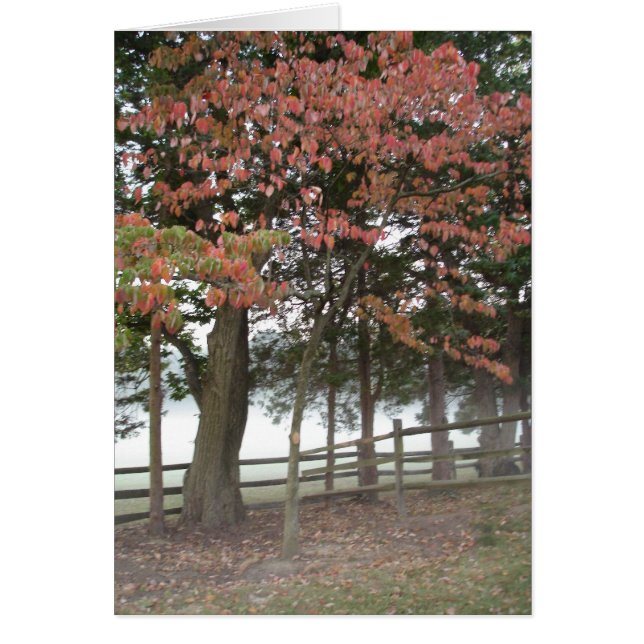 Seizoenen (Voorkant)