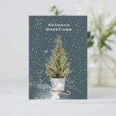 SEIZOENEN DIE EENVOUDIG ONGEDECORATEERDE CHRISTMAS (Staand voorkant)