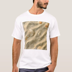 Seizoenen in de zand t-shirt