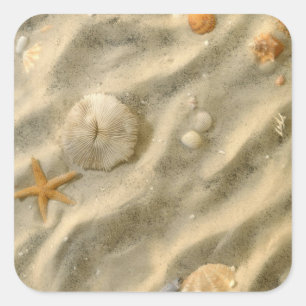 Seizoenen in de zand vierkante sticker