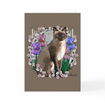 Seizoenen Katten - Spring Garden